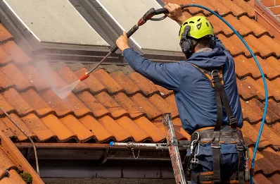Démoussage et hydrofuge de toiture à Ajoux